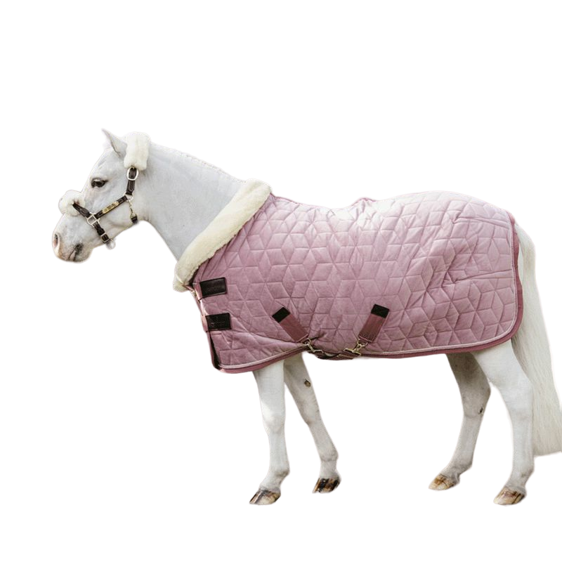 Couverture Pour Cheval Miniature – Taille Adaptée – Occasion