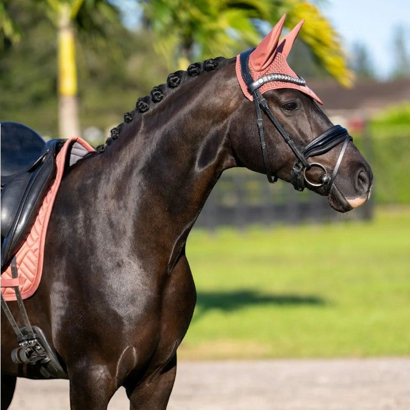 Equestrian Stockholm - Bonnet pour chevaux Modern Coral | - Ohlala