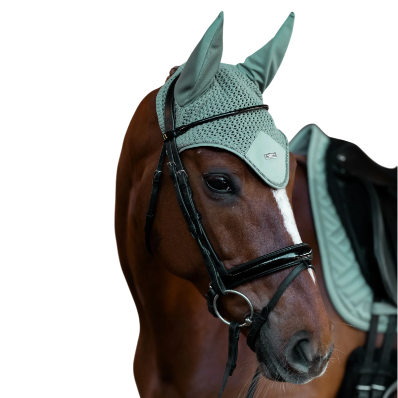 Equestrian Stockholm - Bonnet pour chevaux Modern Mint Green