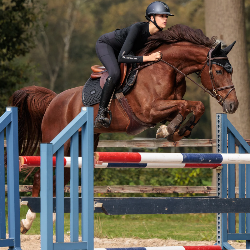Equestrian Stockholm - Tapis de selle Modern noir