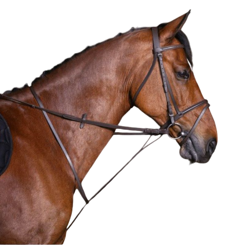 Martingale Sur Pied Windsor En Cuir - 3 Tailles, Noir Ou Havane, Neuf Martingale Sur Pied Windsor En Cuir - 3 Tailles, Noir Ou Havane, Neuf