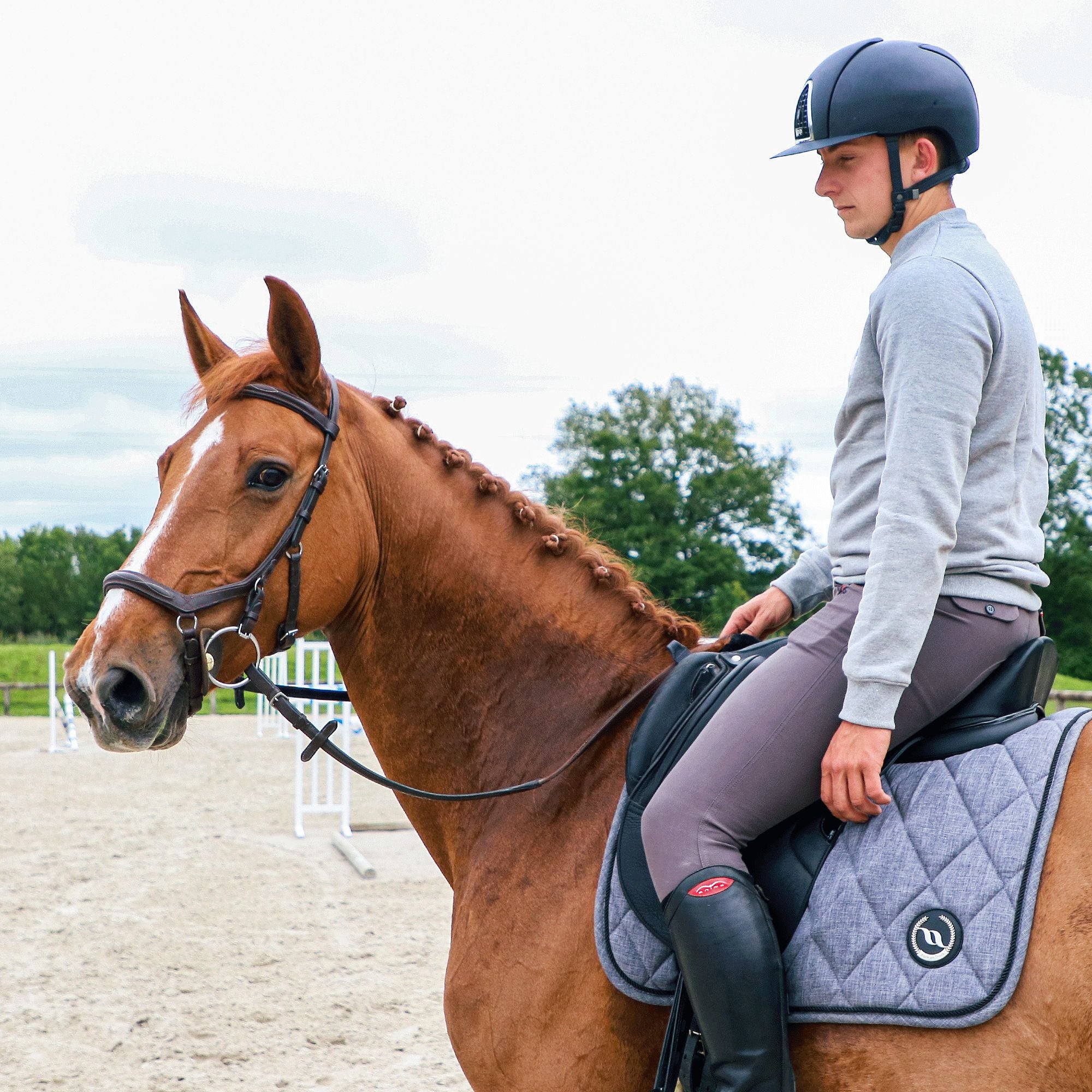 Flags & Cup - Pantalon d'équitation homme Saint Malo gris | - Ohlala