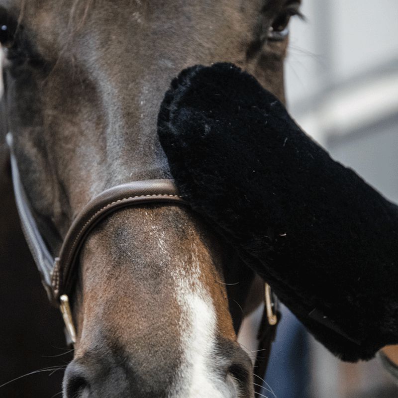 Grooming Deluxe - Gant de pansage mouton noir | - Ohlala