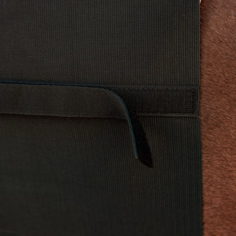 Grooming Deluxe - Ceinture ventrale pour cheval noir