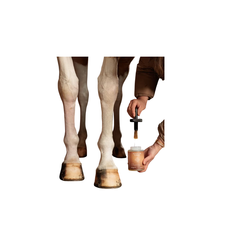 Grooming Deluxe - Huile de brillance pour sabots naturel | - Ohlala