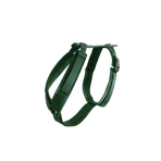 Kentucky Dogwear - Actief fluwelen hondentuig pine green | - Ohlala