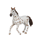 PAPO - Appaloosa merrie | - Ohlala