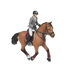 PAPO - Paard en ruiter wedstrijd | - Ohlala