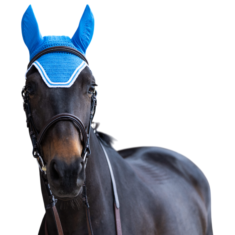 Jump'In - Bonnet pour chevaux Balthazar bleu royal/ blanc | - Ohlala