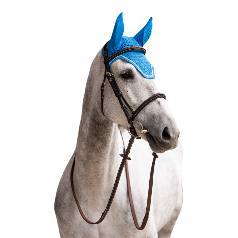 Jump'In - Bonnet pour chevaux Balthazar bleu royal/ lurex | - Ohlala
