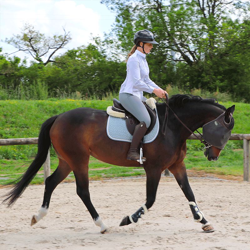 Jump'In - Pantalon d'équitation femme Super X Gris | - Ohlala