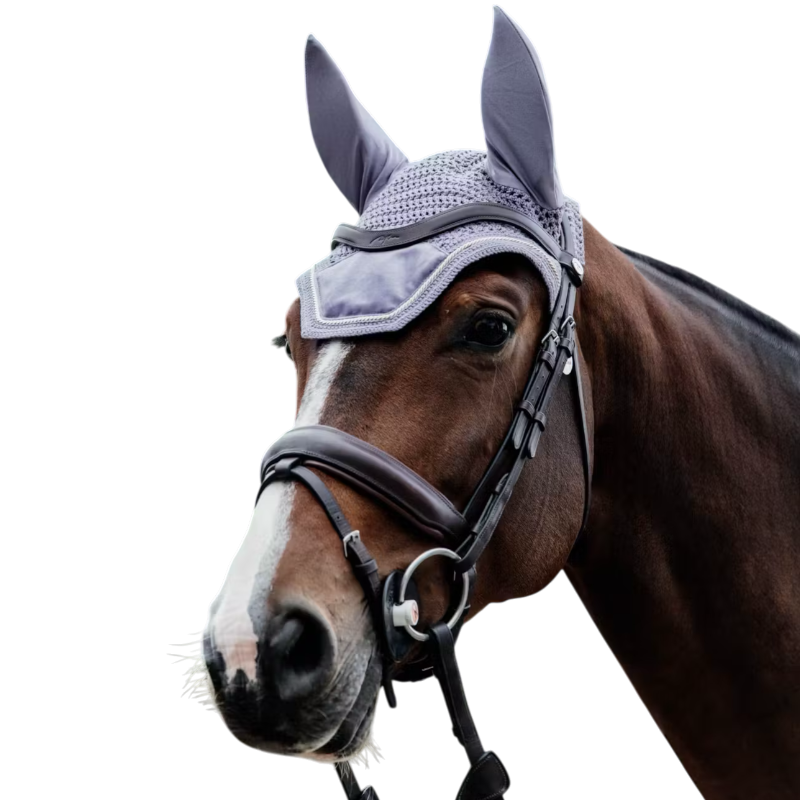 Kentucky Horsewear - Bonnet pour chevaux anti-bruits Wellington Velvet violet | - Ohlala