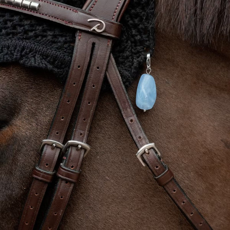 Kentucky Horsewear - Lucky charms pierre light blue