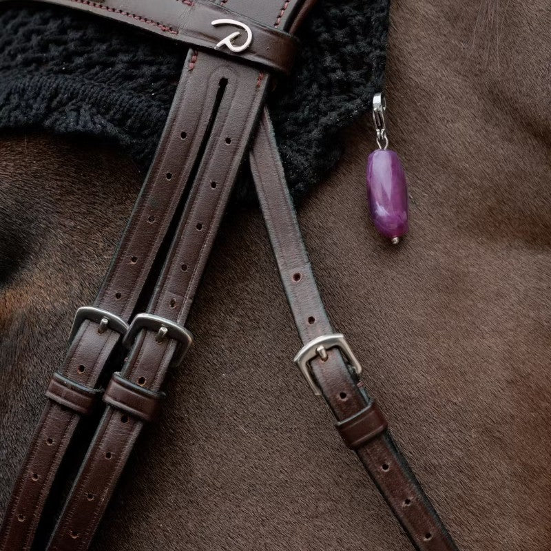 Kentucky Horsewear - Lucky charms pierre violet | - Ohlala