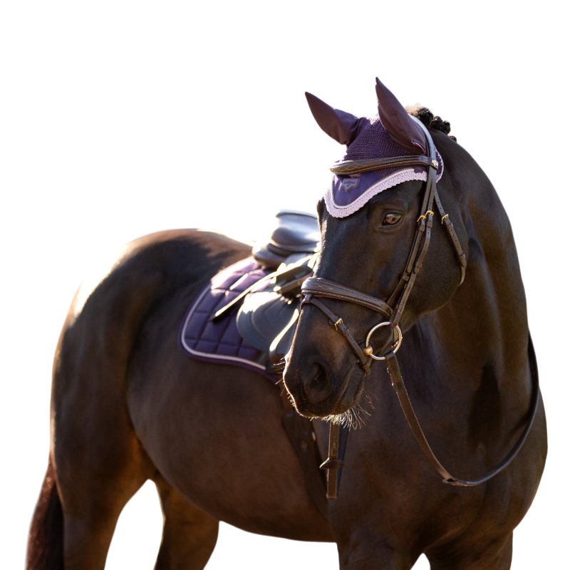 LeMieux - Bonnet pour chevaux Loire juniper