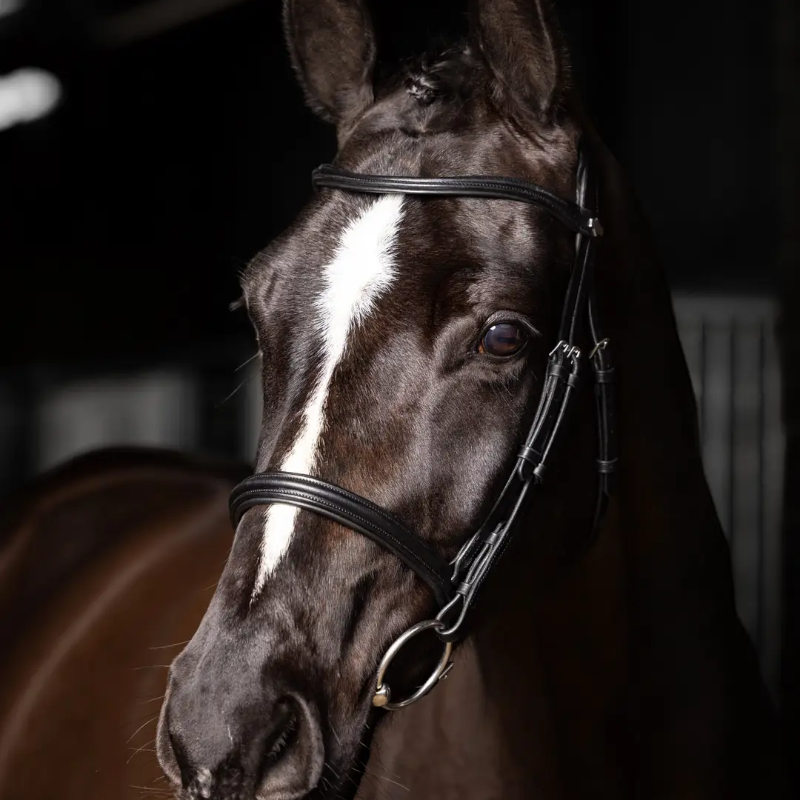 Lemieux - Bridon Arika Cavesson noir/ argent | - Ohlala