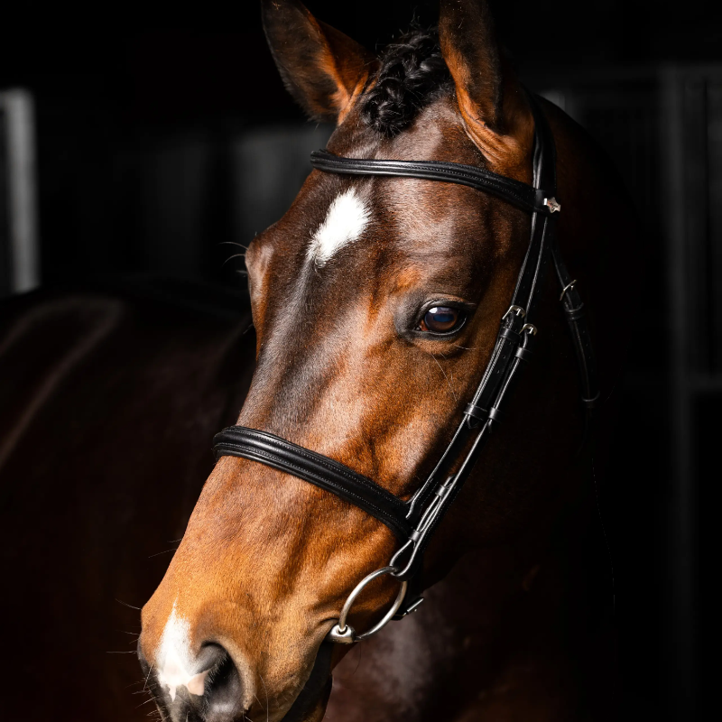 Lemieux - Bridon Arika Cavesson noir/ argent | - Ohlala