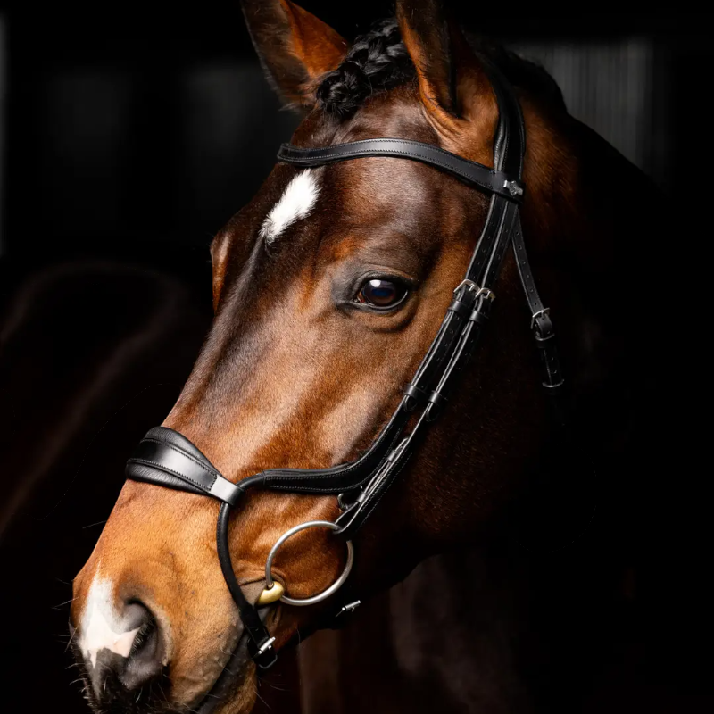 Lemieux - Bridon Arika muserolle anatomique noir/ argent | - Ohlala