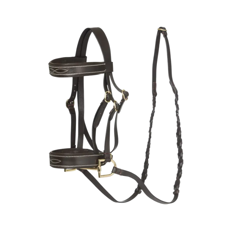 15 M*2.5cm Laisse Pour Chien Corde Plomb Animaux Compagnie 15 M*2.5cm Laisse Pour Chien Corde Plomb Animaux Compagnie