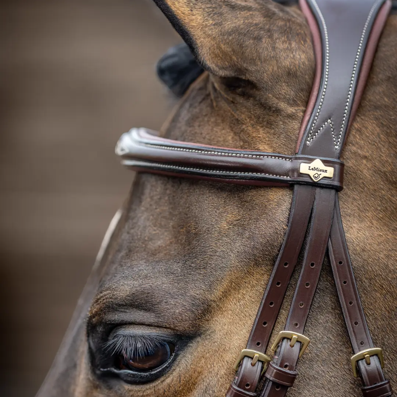 Lemieux - Bridon Kudos Competition Flash havane | - Ohlala