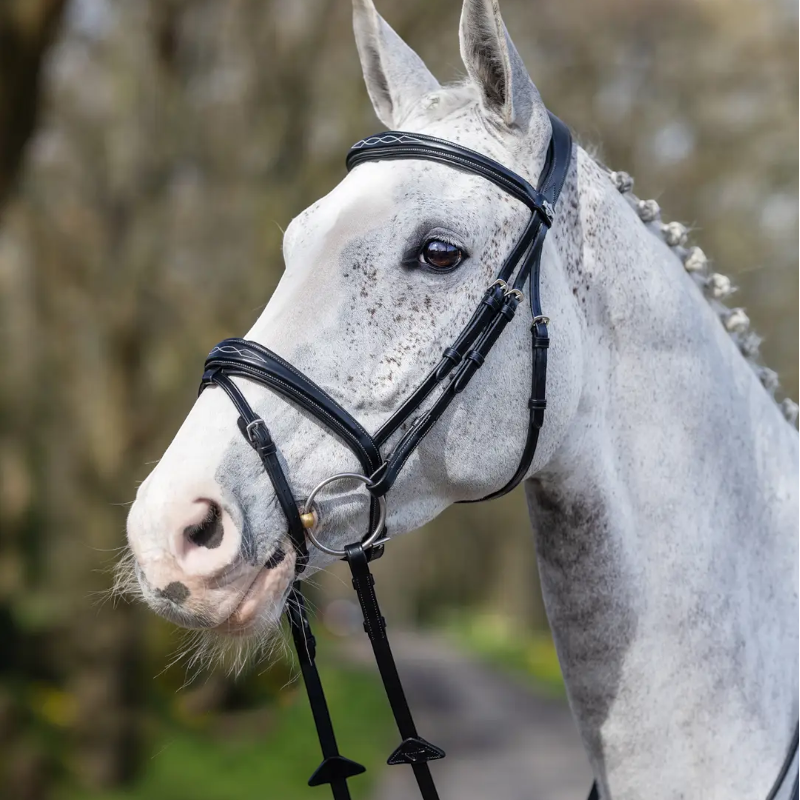Lemieux - Bridon Kudos Competition Flash noir | - Ohlala