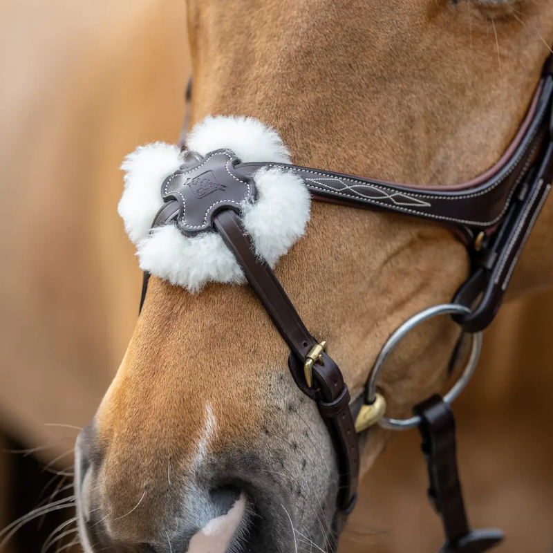 Lemieux - Bridon Kudos Grackle muserolle croisée havane | - Ohlala