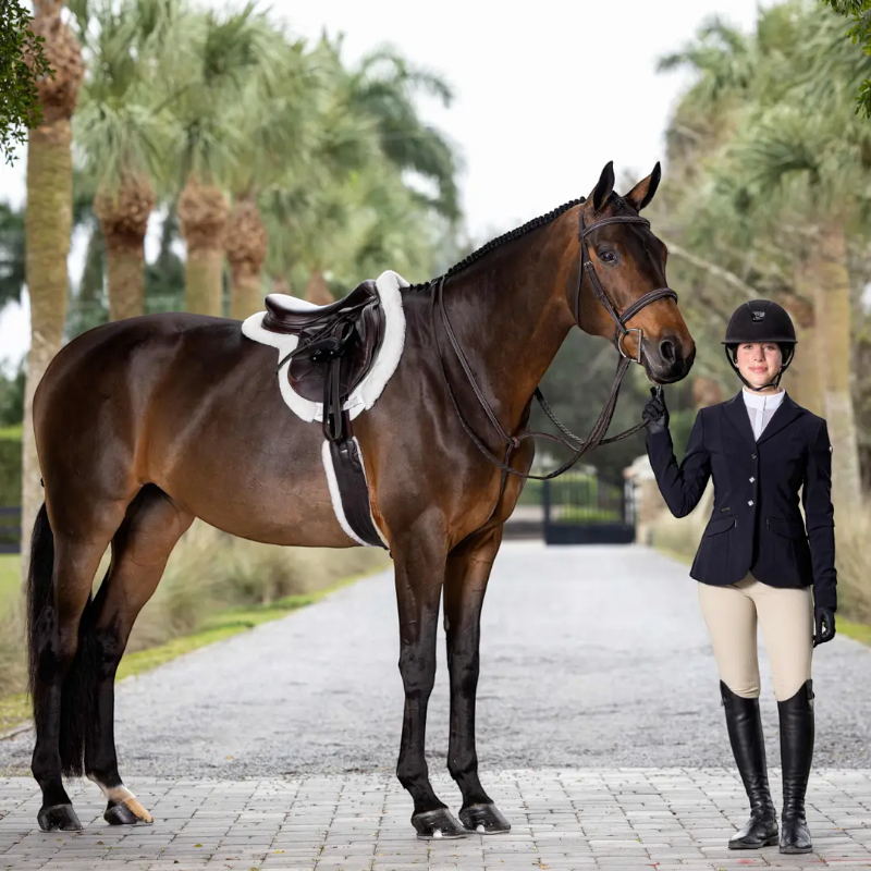 Lemieux - Bridon avec rênes Hunter havane/ argent | - Ohlala