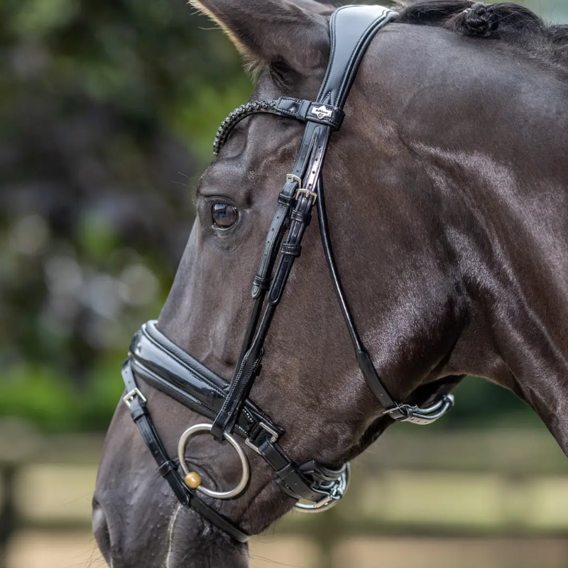 Lemieux - Bridon de dressage Kudos Patent noir | - Ohlala