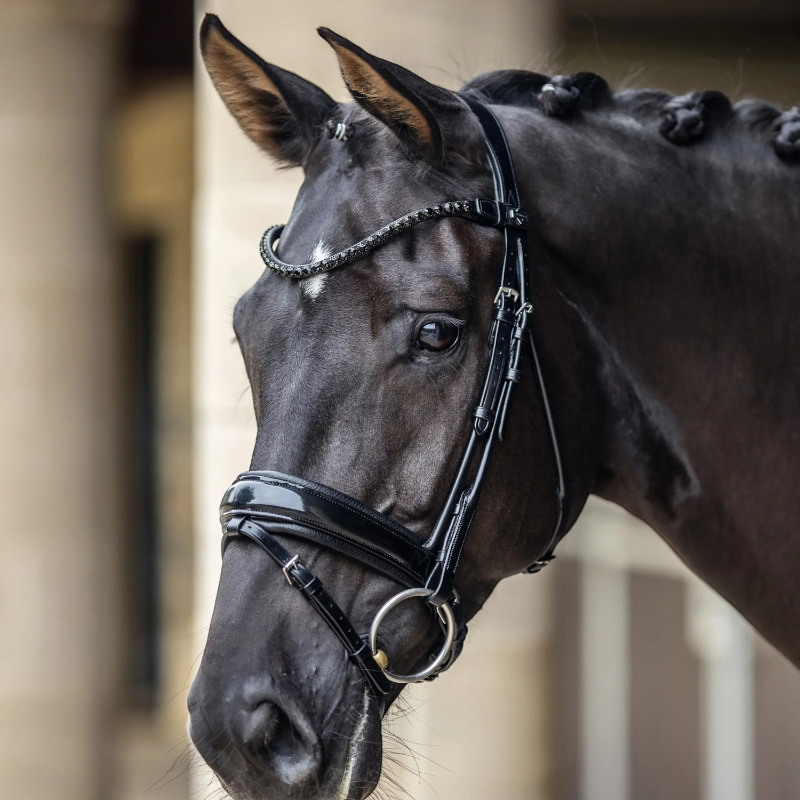 Lemieux - Bridon de dressage Kudos Patent noir | - Ohlala