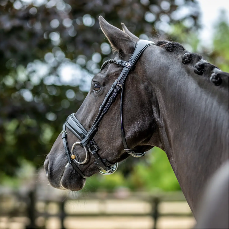 Lemieux - Bridon de dressage Kudos Patent noir | - Ohlala
