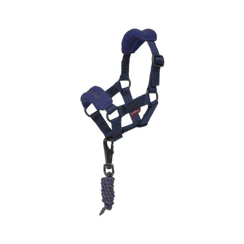 Licol Toy Pony Lemieux - Jouet enfant Licol Toy Pony Lemieux - Jouet enfant