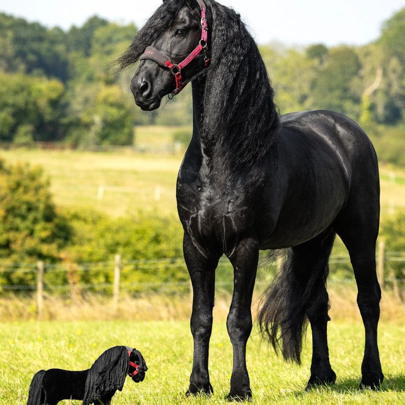 Lemieux - Peluche Toy Pony Spike