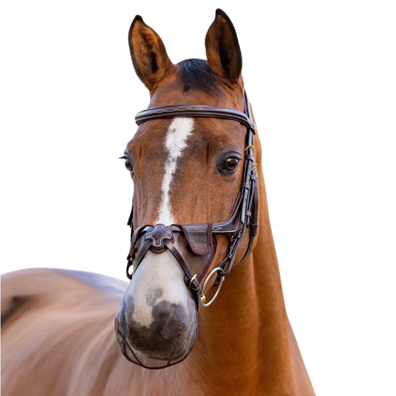 Lemieux - Protection de nasaux Comfort Shield Grackle marron | - Ohlala