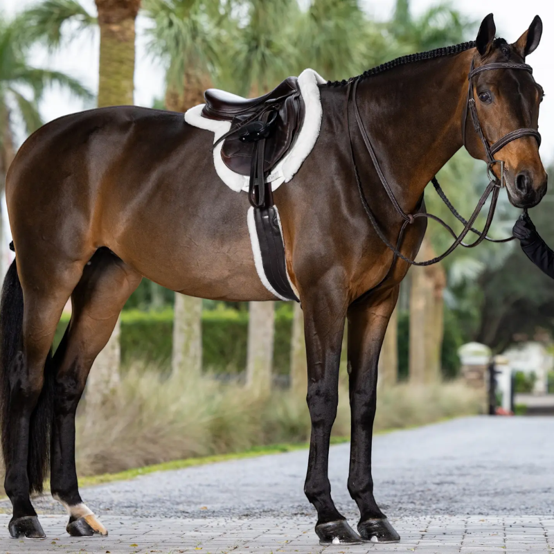 Lemieux - Tapis de Hunter Merino + ProSorb blanc | - Ohlala