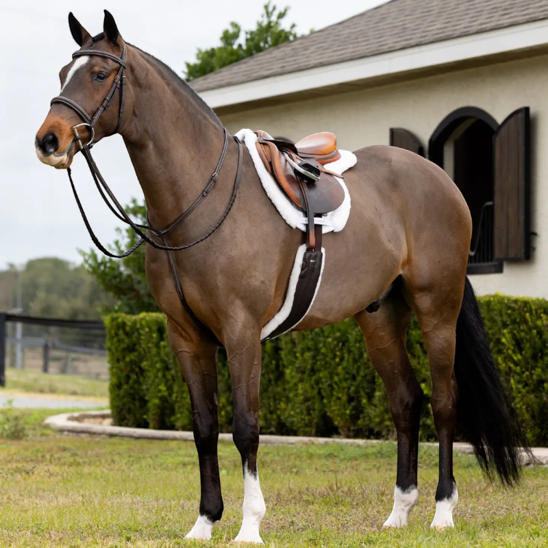 Lemieux - Tapis de Hunter Merino+ blanc/ blanc | - Ohlala