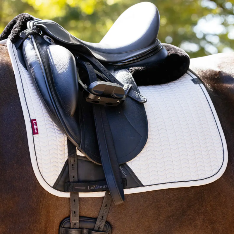 Lemieux - Tapis de dressage Finesse stone | - Ohlala