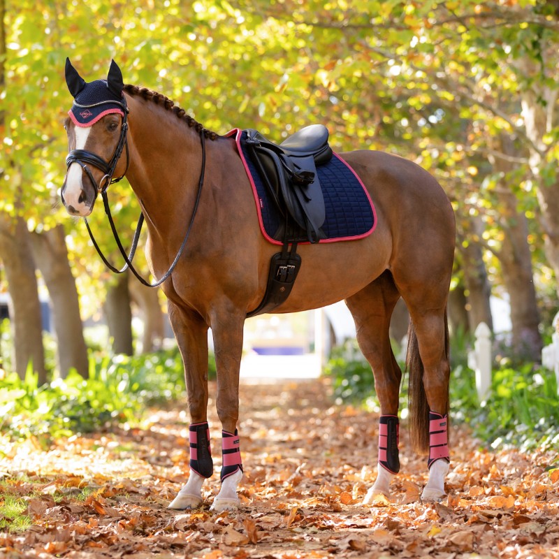 Lemieux - Tapis de dressage Square suédine marine/ cranberry