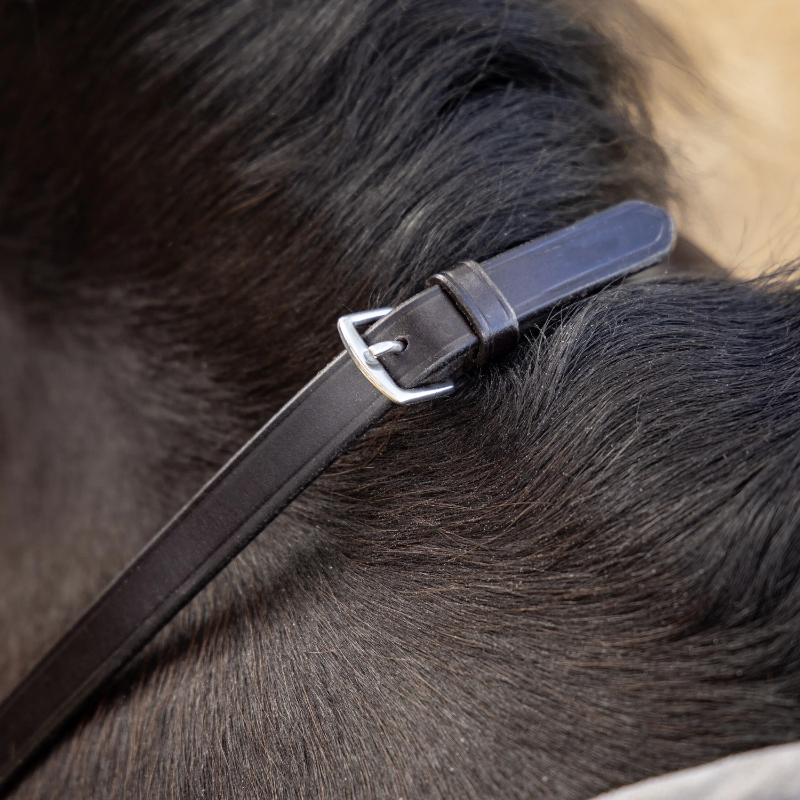 Lemieux - Rênes tressées cuir marron/ argent | - Ohlala