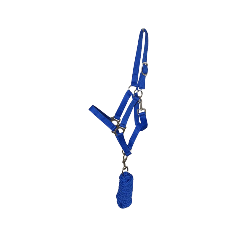 Riding World - Licol et longe Club Bleu Roi | - Ohlala