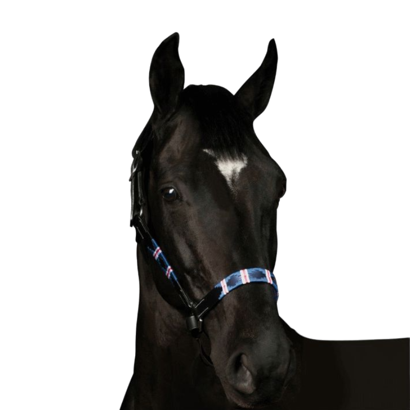 Flags & Cup - Licol Chukka noir / marine / blanc / rouge | - Ohlala