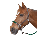Canter - Touwhalster paard bruin/groen witte gespen | - Ohlala