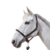 Canter - Licol en corde bouclerie argent noir/ argent | - Ohlala
