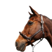 Canter - Touwhalster zilver beslag bruin/ bruin | - Ohlala