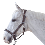 Flags & Cup - Paardenhalster leer Paris bruin/marine | - Ohlala