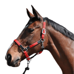 Flags & Cup - Paardenhalster nylon en leer zwart / rood | - Ohlala