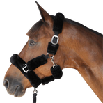 Canter - Transporthoogstel zwart | - Ohlala