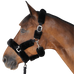 Canter - Transporthoogstel zwart | - Ohlala