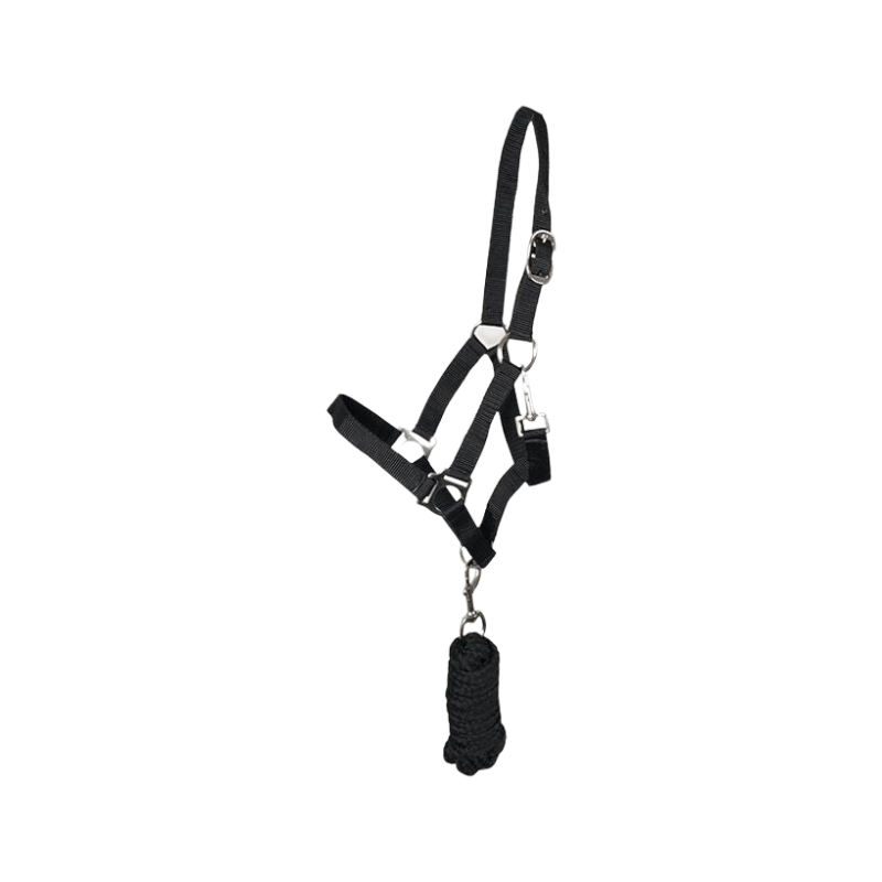 Riding World - Licol et longe Club Noir | - Ohlala