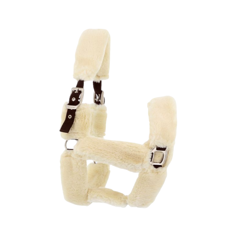 Equithème - Licol de transport Teddy marron/ écru | - Ohlala