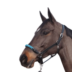 Canter - Licol en corde bouclerie argent noir/ emeraude | - Ohlala
